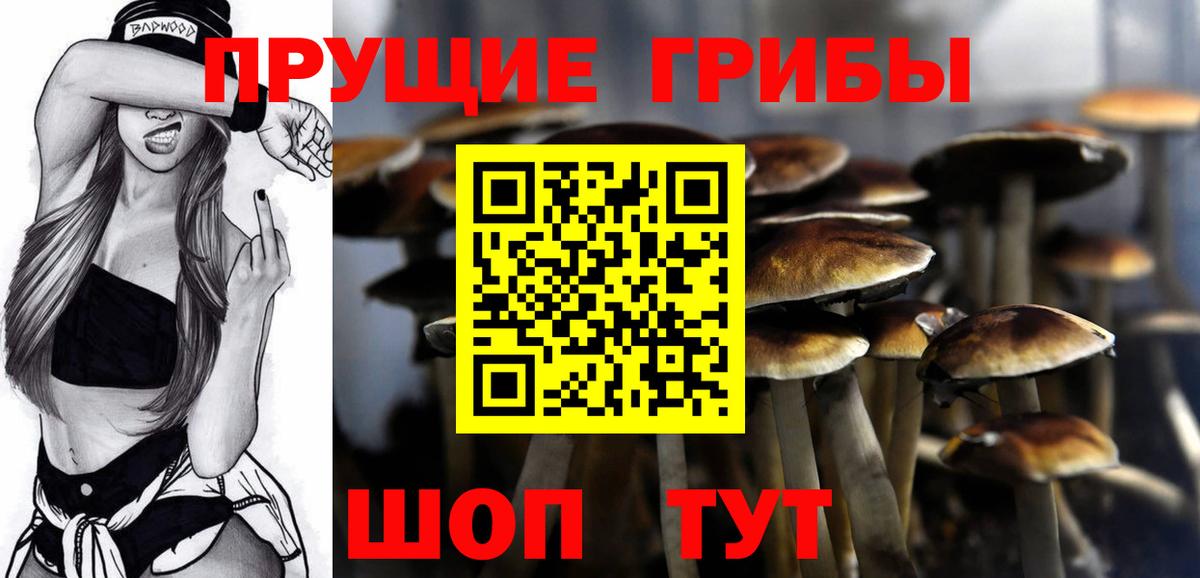 Кириши  Псилоцибиновые грибы Psilocybine cubensis  Вход с VPN  Псилоцибиновые грибы ЛСД 